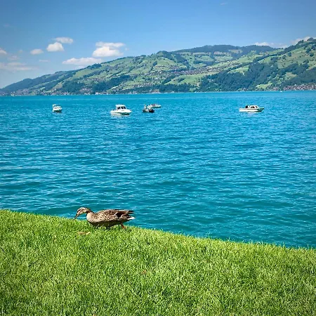 Apartment Amazing Eiger