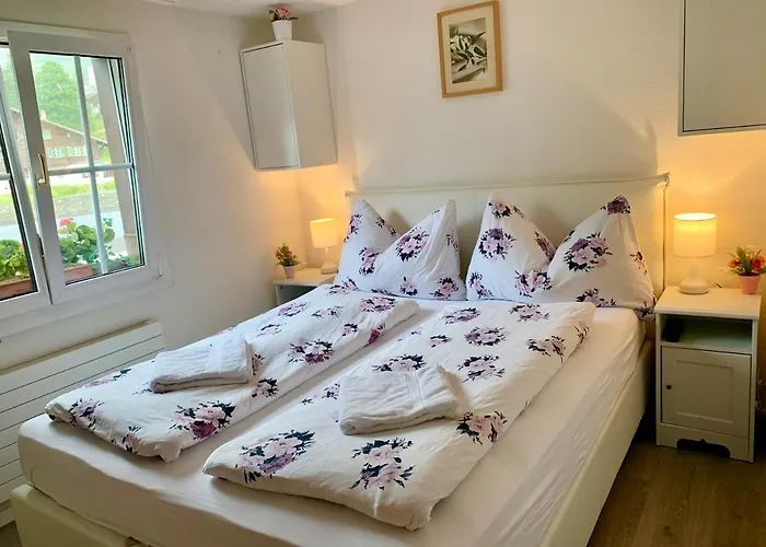 Amazing Eiger グリンデルヴァルト